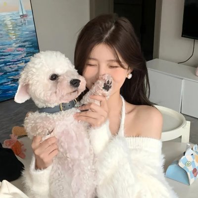 人生回环赛